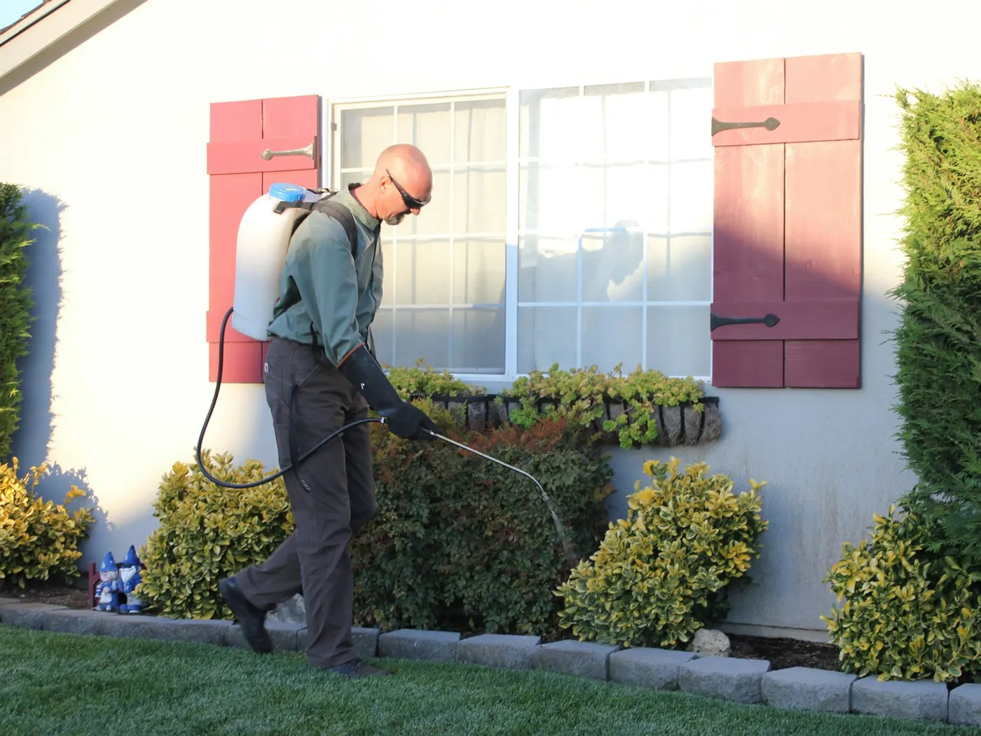 A pest control technician spraying the shrubs along a house wall